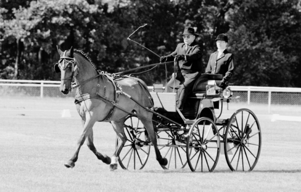 Żegnamy Pana Ryszarda Gila, kilkukrotnego medalistę MP w Powożeniu