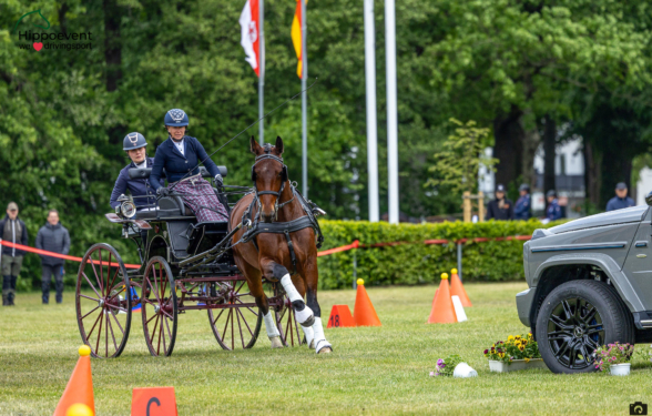 Sukcesy Reprezentacji Polski w Powożeniu w Drebkau!
