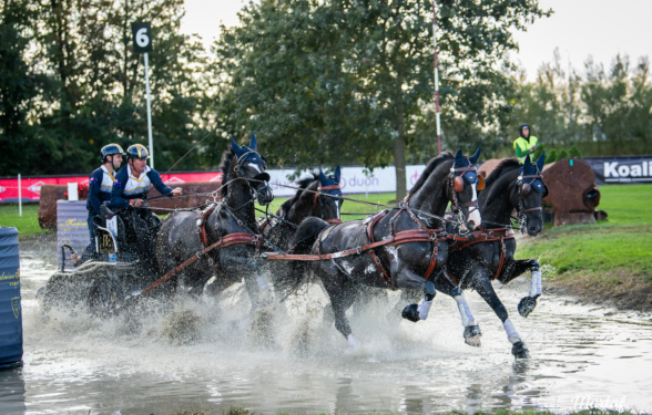 Baborówko gospodarzem Mistrzostw Europy 2027 w Powożeniu Zaprzęgami Czterokonnymi