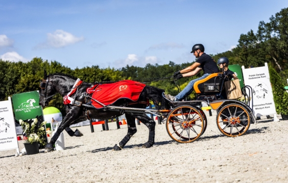 MISTRZOSTWA POLSKI MŁODYCH KONI W POWOŻENIU 2025