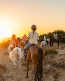 Strategia rozwoju turystyki jeździeckiej na lata 2026–2030