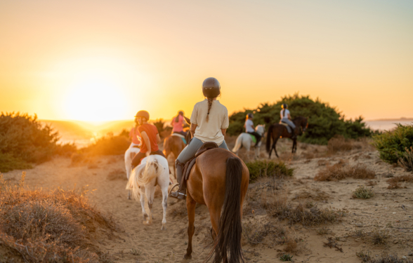 Strategia rozwoju turystyki jeździeckiej na lata 2026–2030