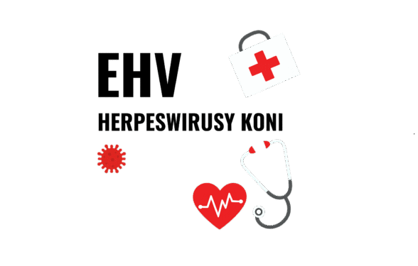 1Komunikat Polskiego Związku Jeździeckiego dotyczący zakażeń herpeswirusami koni (EHV-1 i EHV-4) Komunikat Polskiego Związku Jeździeckiego dotyczący zakażeń herpeswirusami koni (EHV-1 i EHV-4)