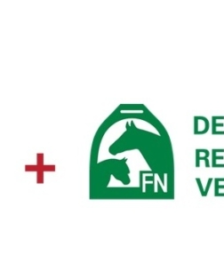 Warsztaty nt. MIM w przeszkodach krosowych WKKW