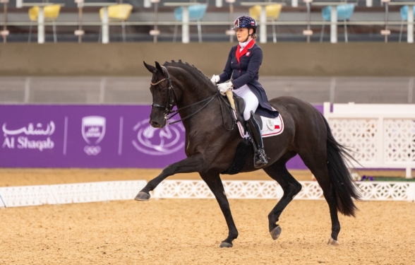 1Podsumowanie jeździeckie 19-22.02.2026 Podsumowanie jeździeckie 19-22.02.2026