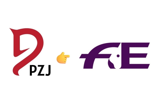 Propozycje zmian w przepisach FEI 2027