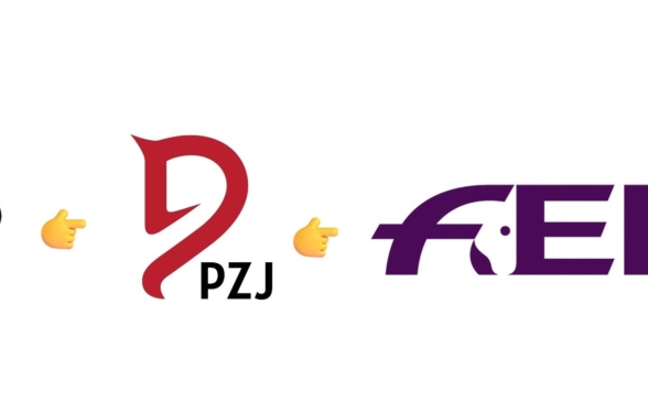 Propozycje zmian w przepisach FEI 2027