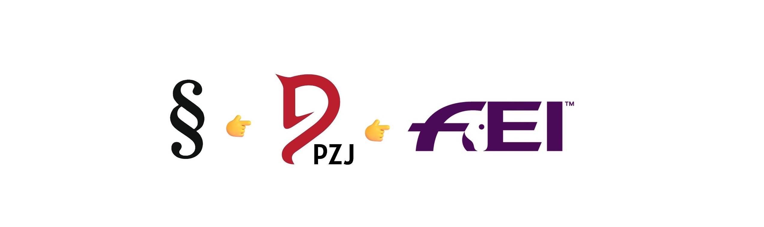 PZJ_FEI