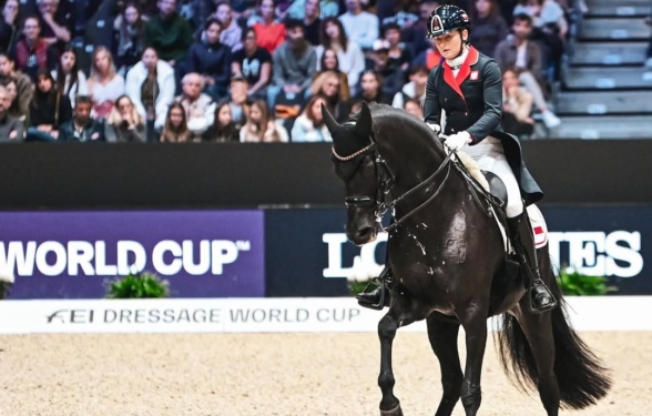 Podsumowanie jeździeckie 05-08.03.2026