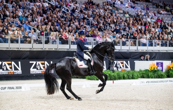 Podsumowanie jeździeckie 8–12.04.26